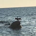 Accogliente Con Vista Mare Lägenhet Buoncammino