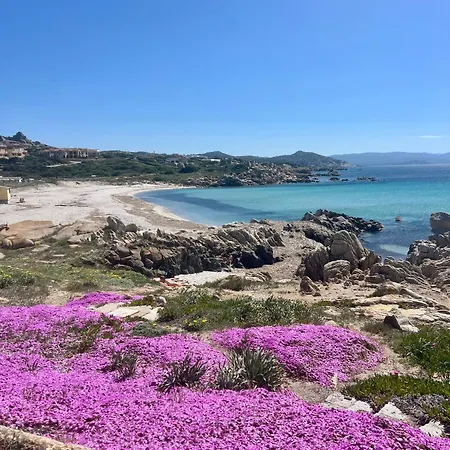 Accogliente Con Vista Mare *